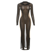 Sheer mesh long sleeve crewneck maxi dress