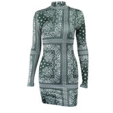 Long sleeve high neck contrast mini dress