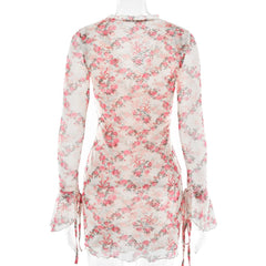 Long sleeve v neck flower print mesh mini dress