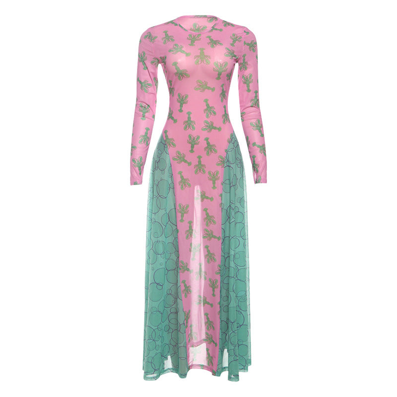 Long sleeve mesh crewneck print maxi dress