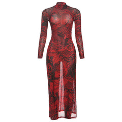 Long sleeve print sheer mesh high neck maxi dress