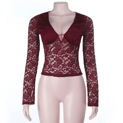 Lace long sleeve deep V neck solid top