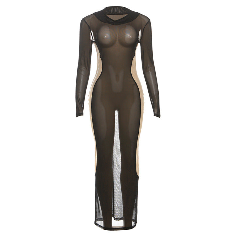 Sheer mesh long sleeve crewneck maxi dress