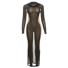 Sheer mesh long sleeve crewneck maxi dress