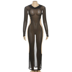 Sheer mesh long sleeve crewneck maxi dress