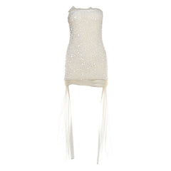 Glitter mesh tube mini dress