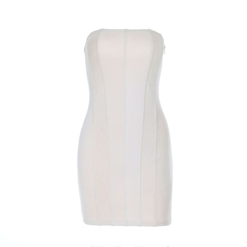 Lace up zip-up backless corset tube mini dress