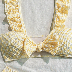 Ruffle v neck bikini swimwear