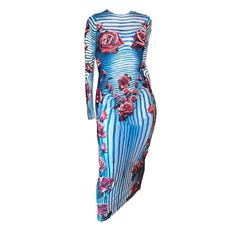 Crewneck long sleeve striped flower print midi dress