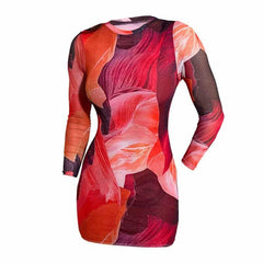 Long sleeve crewneck mesh contrast print mini dress-final-sale