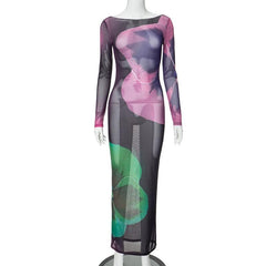 Long sleeve sheer mesh print crewneck maxi dress